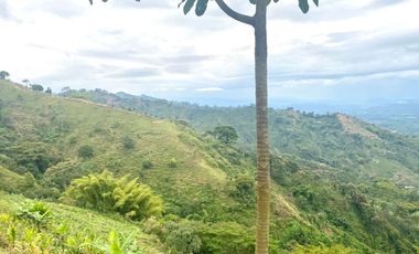 Venta de Finca en Córdoba, Quindío – Ideal para Proyecto Turístico o Glamping