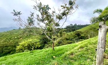 Venta de Finca en Córdoba, Quindío – Ideal para Proyecto Turístico o Glamping