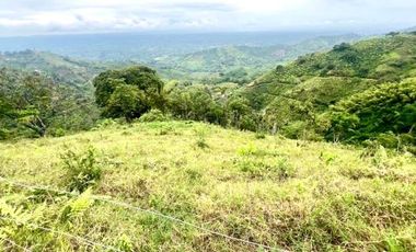 Venta de Finca en Córdoba, Quindío – Ideal para Proyecto Turístico o Glamping
