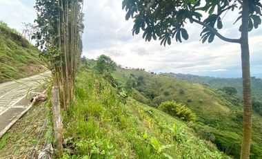 Venta de Finca en Córdoba, Quindío – Ideal para Proyecto Turístico o Glamping