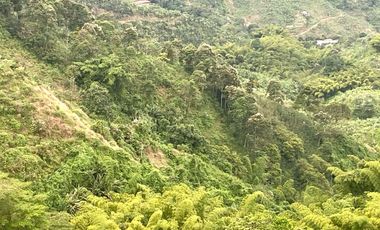Venta de Finca en Córdoba, Quindío – Ideal para Proyecto Turístico o Glamping