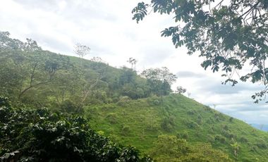 Venta de Finca en Córdoba, Quindío – Ideal para Proyecto Turístico o Glamping