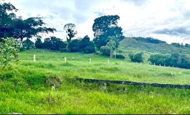 Venta de Finca en Córdoba, Quindío – Ideal para Proyecto Turístico o Glamping