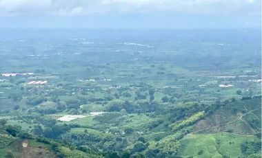 Venta de Finca en Córdoba, Quindío – Ideal para Proyecto Turístico o Glamping