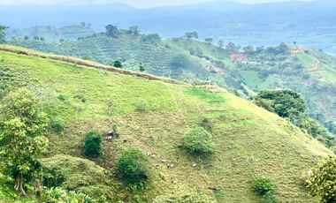 Venta de Finca en Córdoba, Quindío – Ideal para Proyecto Turístico o Glamping