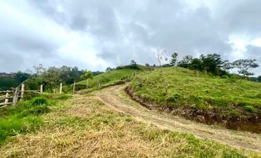 Venta de Finca en Córdoba, Quindío – Ideal para Proyecto Turístico o Glamping