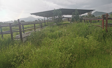 TERRENO GRANJA EN VENTA EN SAN RAFAEL, CORREGIDORA