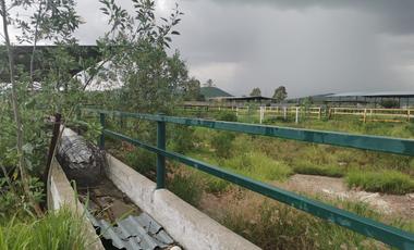 TERRENO GRANJA EN VENTA EN SAN RAFAEL, CORREGIDORA