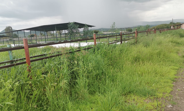TERRENO GRANJA EN VENTA EN SAN RAFAEL, CORREGIDORA
