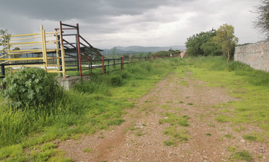 TERRENO GRANJA EN VENTA EN SAN RAFAEL, CORREGIDORA