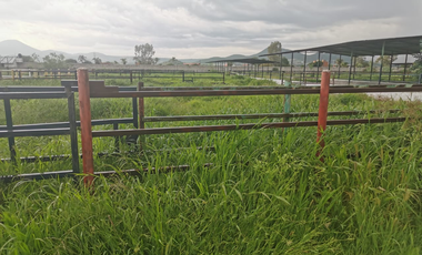 TERRENO GRANJA EN VENTA EN SAN RAFAEL, CORREGIDORA