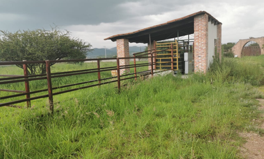 TERRENO GRANJA EN VENTA EN SAN RAFAEL, CORREGIDORA