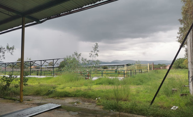 TERRENO GRANJA EN VENTA EN SAN RAFAEL, CORREGIDORA