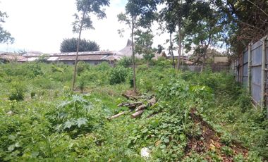 Lot for Rent in Lapu-lapu City Ideal for Resort or Commercial Complex