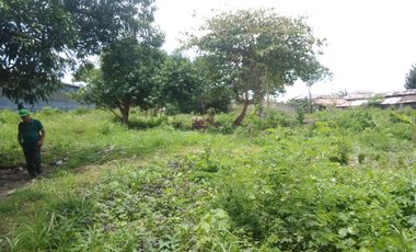 Lot for Rent in Lapu-lapu City Ideal for Resort or Commercial Complex