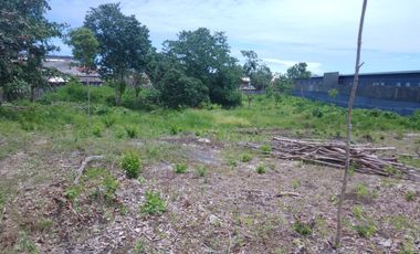 Lot for Rent in Lapu-lapu City Ideal for Resort or Commercial Complex
