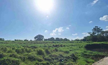 Tanah kavling commercial Residential Canggu Hill Bali