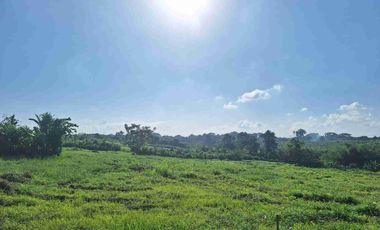 Tanah kavling commercial Residential Canggu Hill Bali