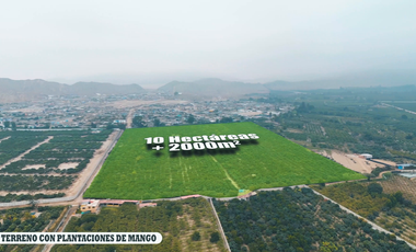 HUARAL-VENTA TERRENO 10 HECTAREAS