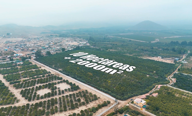 HUARAL-VENTA TERRENO 10 HECTAREAS