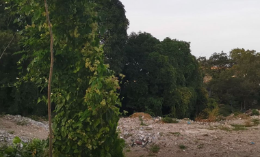 FOR SALE: 3.5 hectare Commercial lot at Caloocan