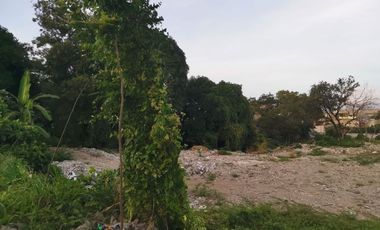FOR SALE: 3.5 hectare Commercial lot at Caloocan