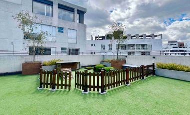 Arriendo linda suite amoblada Centro norte de Quito