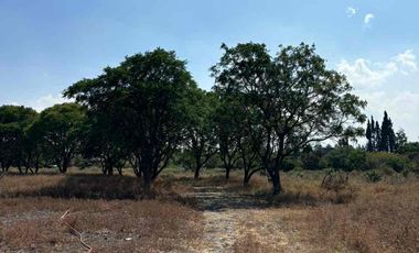 Oportunidad Única! Macrolote en Venta, Huertas la Joya, Querétaro