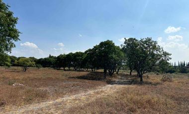Oportunidad Única! Macrolote en Venta, Huertas la Joya, Querétaro