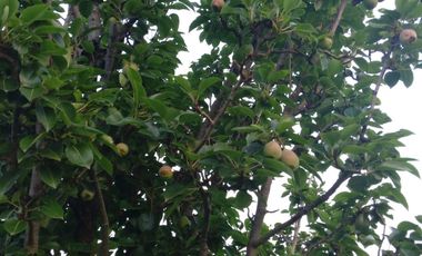 Casa de Descanso o Quinta Km 102, a unos metros de Autopista México Queretaro