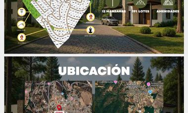 terrenos en el bosque