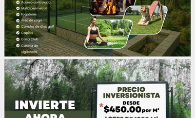 terrenos en el bosque