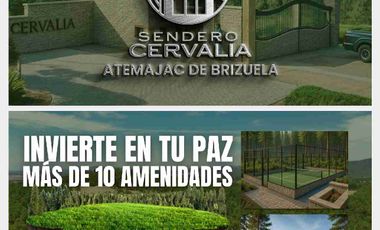 terrenos en el bosque