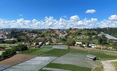 Vendo apartamento con hermosa vista verde