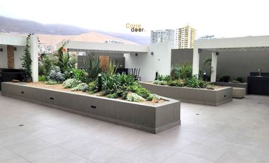 Deptos. Nuevos Paradise - Iquique