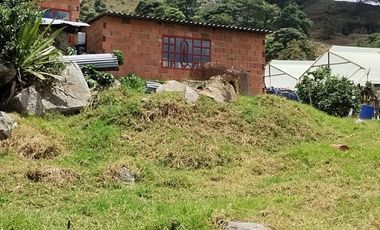 VENTA FINCA DE 14OOOMIL METRO CON RENTABILIDAD!!!  PERMUTA DE FINCA PARA DESARROLLO TURISTICO A AGRICOLA