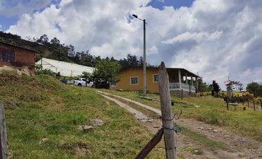 VENTA FINCA DE 14OOOMIL METRO CON RENTABILIDAD!!!  PERMUTA DE FINCA PARA DESARROLLO TURISTICO A AGRICOLA