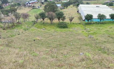 VENTA FINCA DE 14OOOMIL METRO CON RENTABILIDAD!!!  PERMUTA DE FINCA PARA DESARROLLO TURISTICO A AGRICOLA