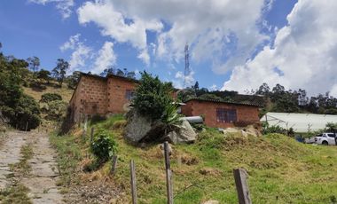 VENTA FINCA DE 14OOOMIL METRO CON RENTABILIDAD!!!  PERMUTA DE FINCA PARA DESARROLLO TURISTICO A AGRICOLA