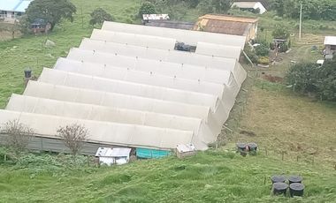 VENTA FINCA DE 14OOOMIL METRO CON RENTABILIDAD!!!  PERMUTA DE FINCA PARA DESARROLLO TURISTICO A AGRICOLA