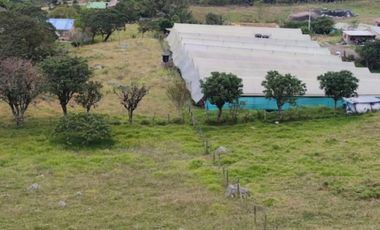 VENTA FINCA DE 14OOOMIL METRO CON RENTABILIDAD!!!  PERMUTA DE FINCA PARA DESARROLLO TURISTICO A AGRICOLA