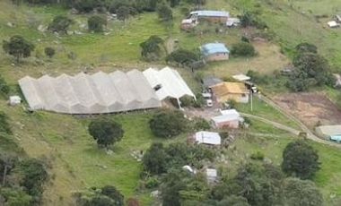 VENTA FINCA DE 14OOOMIL METRO CON RENTABILIDAD!!!  PERMUTA DE FINCA PARA DESARROLLO TURISTICO A AGRICOLA