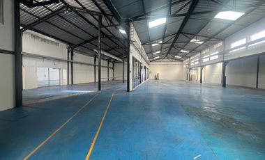 RENTA DE PLANTA INDUSTRIAL, GALPONES, BODEGAS