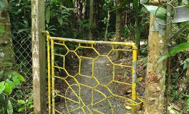 Ginhawa — Off-Grid 3BR Designer Farm Retreat near Mt. Malarayat | 5,908sqm Titled Coffee Farm | Fully Furnished | Airbnb-Ready | Lipa Batangas