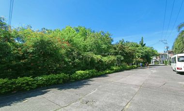 2,408 sqm Industrial Residential lot for sale in Cupang Muntinlupa