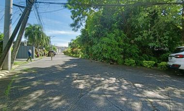 2,408 sqm Industrial Residential lot for sale in Cupang Muntinlupa