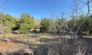 VENTA TERRENO AMPLIO CON CASA Y GALPON