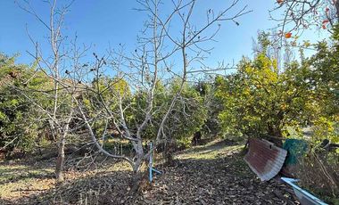 VENTA TERRENO AMPLIO CON CASA Y GALPON