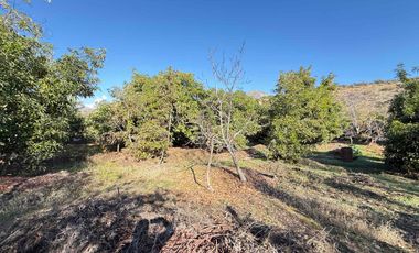 VENTA TERRENO AMPLIO CON CASA Y GALPON