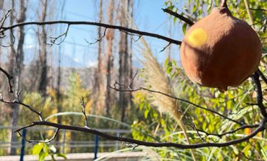 VENTA TERRENO AMPLIO CON CASA Y GALPON